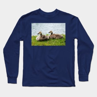 Young Canada geese Long Sleeve T-Shirt